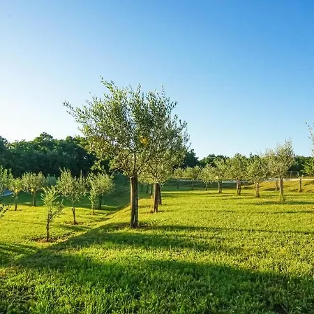 Bed and breakfast Stancija Ruseti