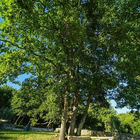 Bed & Breakfast Stancija Ruseti 5*