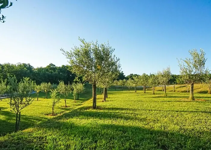 Bed & Breakfast Stancija Ruseti