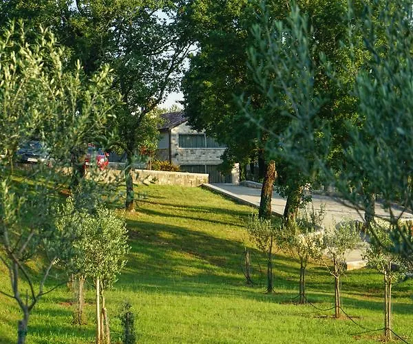 Bed & Breakfast Stancija Ruseti