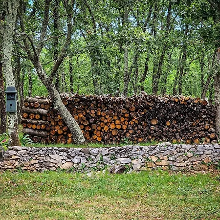 Stancija Ruseti krevet i doručak 5*