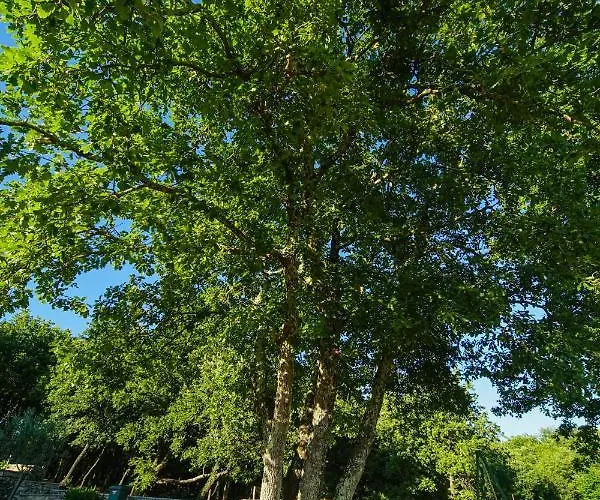 B&B Stancija Ruseti 5*